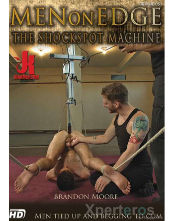 Artikelbild von THE SHOCKSPOT MACHINE