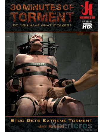 Artikelbild von STUD GETS EXTREME TORMENT