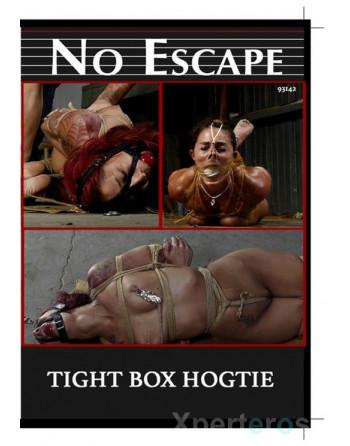 Artikelbild von  NO ESCAPE / Tight Box Hogtie