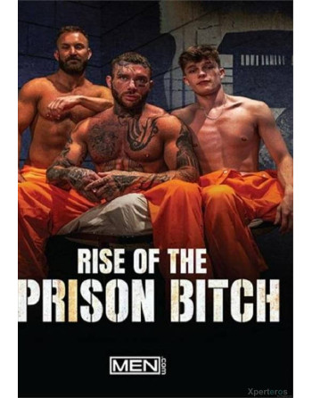 Artikelbild von Rise of the Prison Bitch