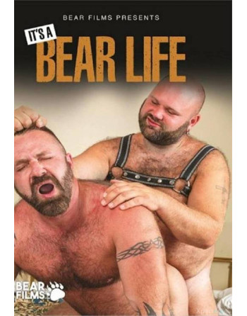 Artikelbild von Its a Bear Life