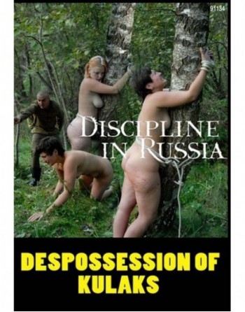 Artikelbild von DESPOSSESSION OF KULKAS