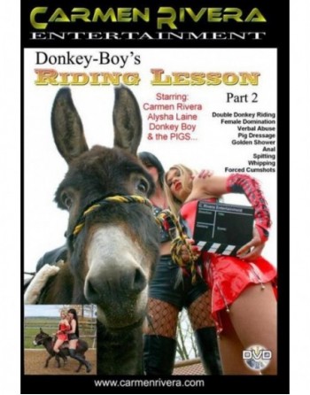 Artikelbild von DONKEY BOYS RIDING LESSONS 2