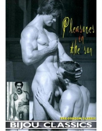 Artikelbild von Pleasures In The Sun